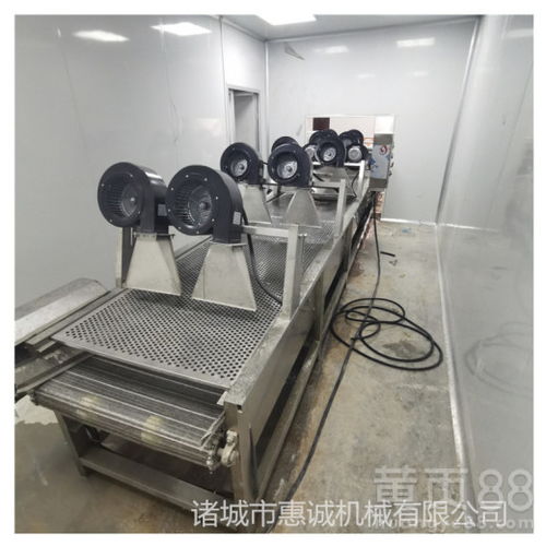 惠诚清洗烘干流水线,寿县新款惠诚食品干燥剂设备果脯烘干厂家