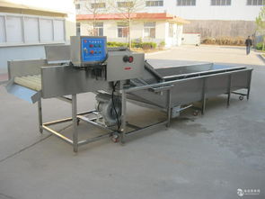 猪蹄毛辊清洗机报价,汇康食品机械价格,产品报价