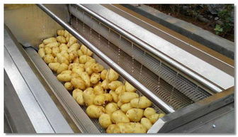 喷淋清洗机配置 诸城华都机械公司 菠菜喷淋清洗机配置高清图片 高清大图